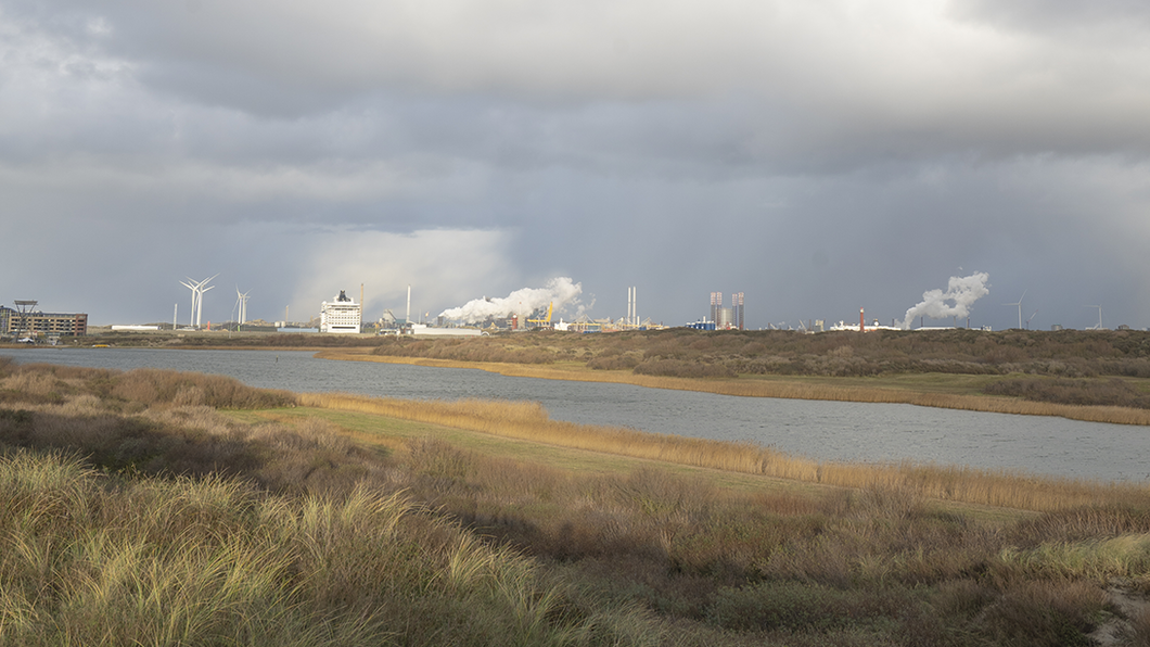 Afbeelding van Tata steel vanaf de duinen