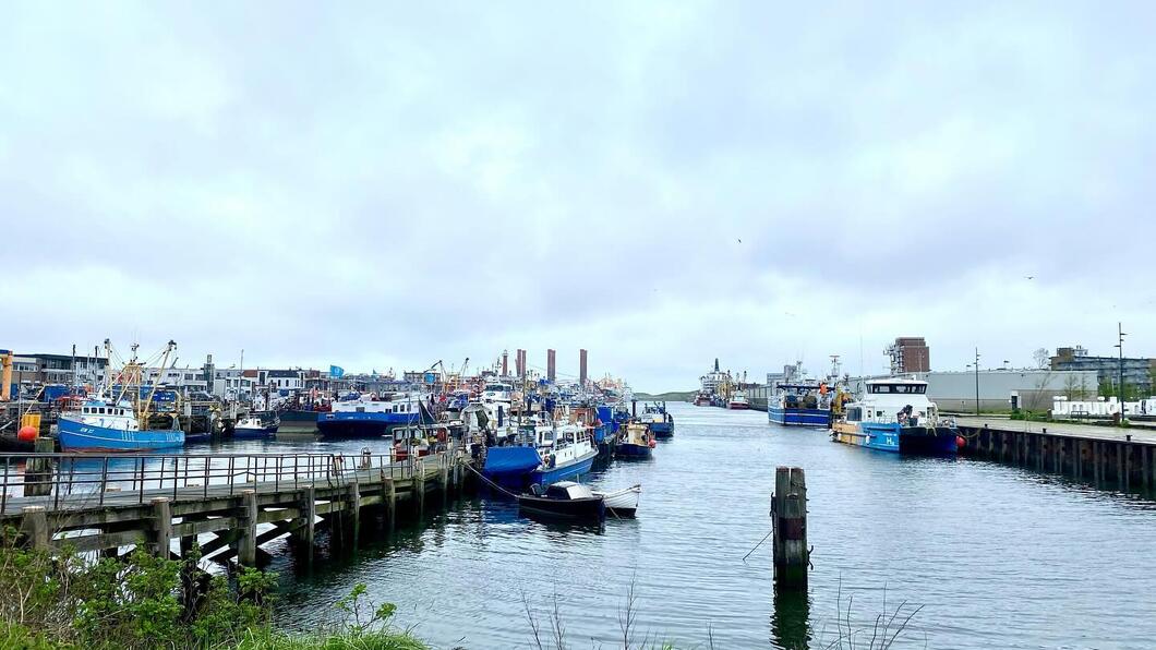 Zeehaven IJmuiden
